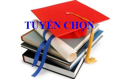 Huyện Bình Sơn tuyển chọn chức danh Trưởng Phòng Giáo dục và Đào tạo huyện