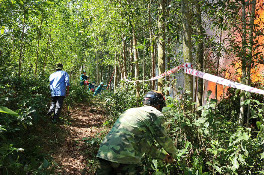 Bình Sơn: Tăng cường công tác phòng cháy chữa cháy rừng trong mùa nắng nóng
