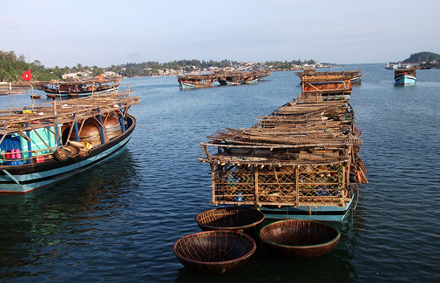Ngư dân Bình Sơn được hỗ trợ hơn 25,6 tỷ đồng