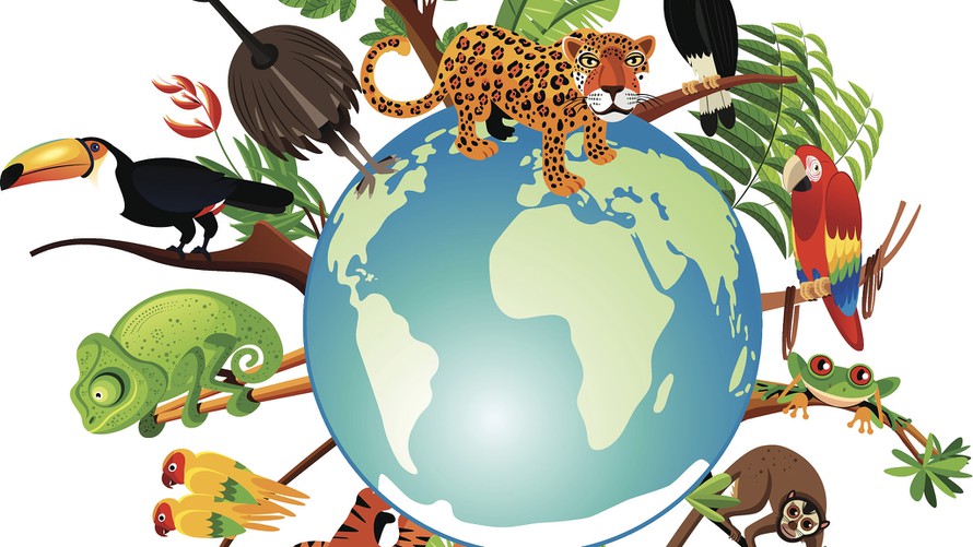 Tổ chức các hoạt động hưởng ứng Ngày Quốc tế đa dạng sinh học năm 2022 trên địa bàn huyện
