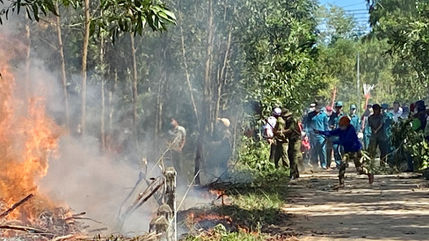 Bình Sơn diễn tập chữa cháy rừng