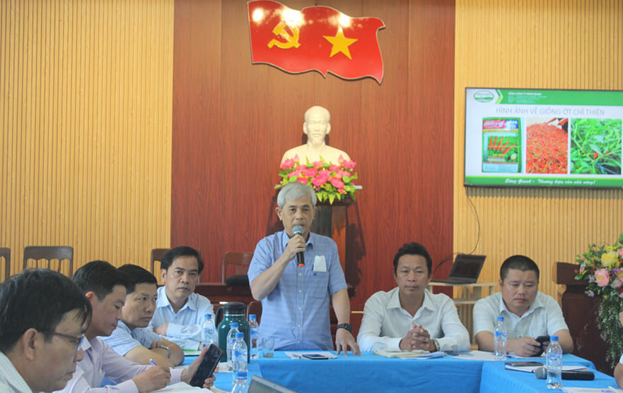 Hội nông dân tỉnh phối hợp triển khai mô hình chuỗi liên kết bao tiêu sản phẩm lúa, ớt tại huyện Bình Sơn