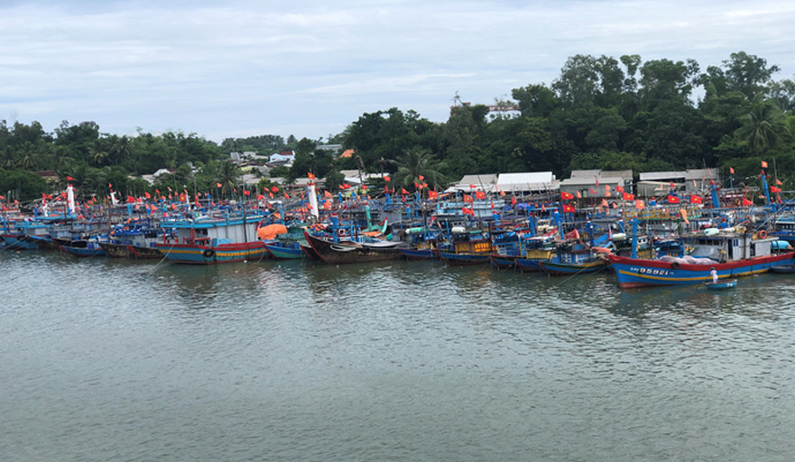 Huyện Bình Sơn kêu gọi, hướng dẫn gần 1200 tàu thuyền tránh trú bão NORU