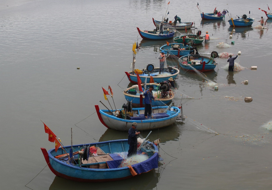 Nghề lưới thúng của ngư dân ven biển Bình Sơn