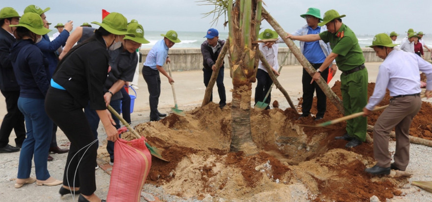 Đoàn công tác huyện Lương Sơn, tỉnh Hoà Bình và lãnh đạo huyện Bình Sơn tham gia trồng cây tại xã ven biển Bình Hải.