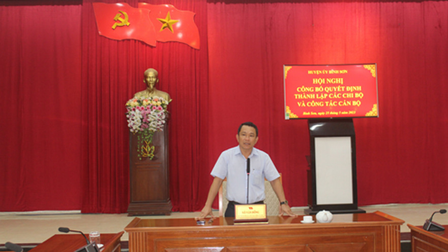 Ban Thường vụ Huyện ủy Bình Sơn tổ chức Hội nghị công bố quyết định thành lập các Chi bộ và công tác cán bộ