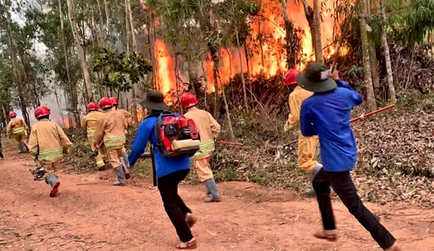 Bình Tân Phú: Diễn tập phòng cháy, chữa cháy rừng năm 2024