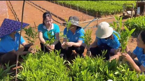 Vốn vay ưu đãi góp phần giảm nghèo, hỗ trợ phát triển kinh tế