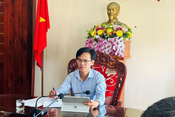 Huyện Bình Sơn giải quyết yêu cầu về khai thác rừng trồng tại khu vực núi Nam Châm