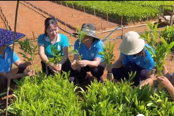 Vốn vay ưu đãi góp phần giảm nghèo, hỗ trợ phát triển kinh tế