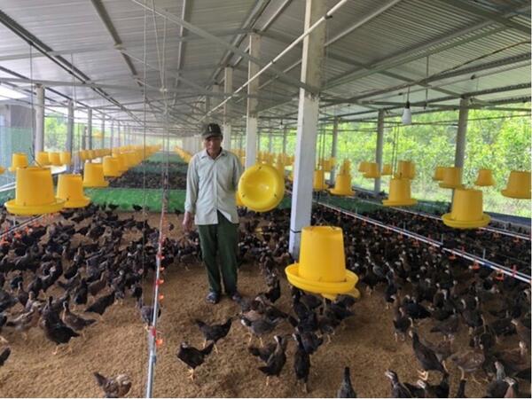 Tín dụng chính sách đã góp phần tạo việc làm, giảm nghèo, đảm bảo an sinh xã hội