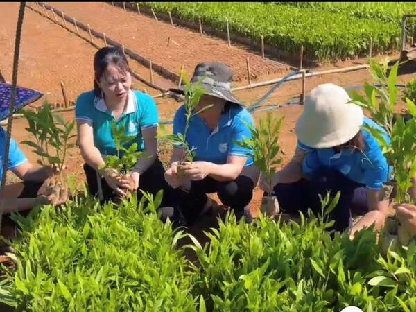 Vốn vay ưu đãi góp phần giảm nghèo, hỗ trợ phát triển kinh tế